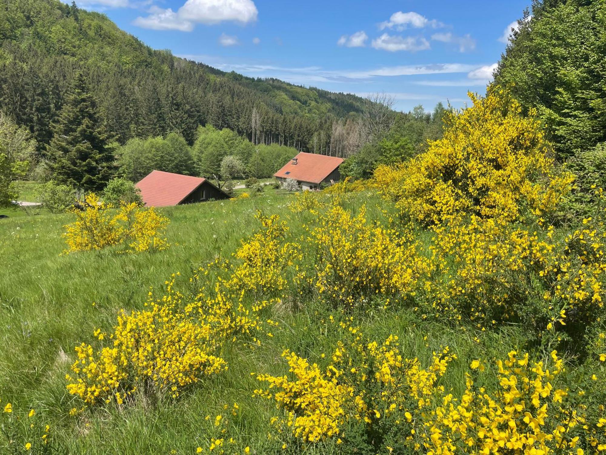 Willa La Hutte Tendon Zewnętrze zdjęcie