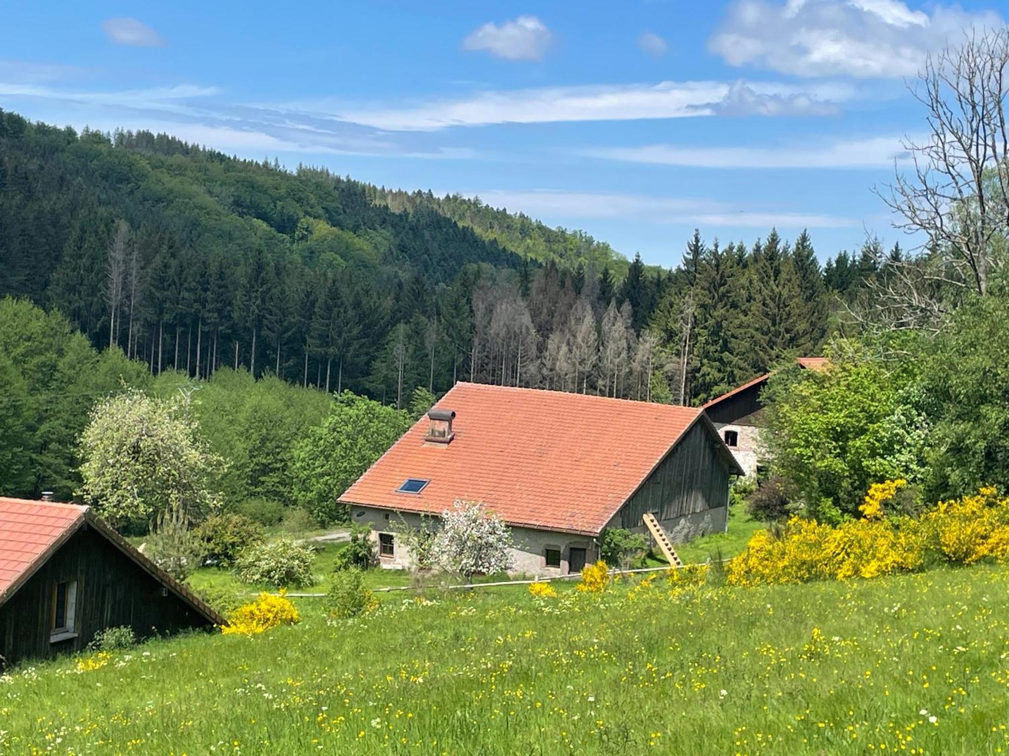 Willa La Hutte Tendon Zewnętrze zdjęcie